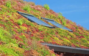Mariandyrys living roof systems
