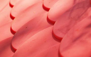 Mariandyrys plastic roof costs