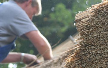 professional Mariandyrys thatchers